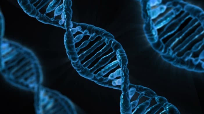 CRISPR：開啟基因治療的契機