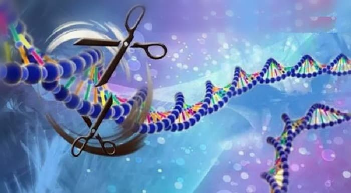 2015年03月05日 CRISPR-Cas9基因編輯技術解開腫瘤演變與癌症轉移的秘密