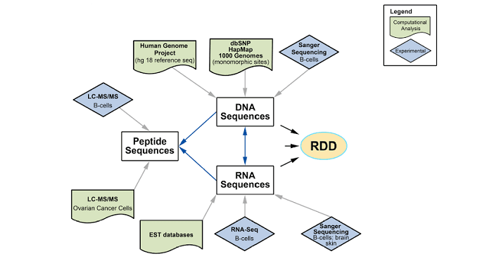 2011年05月19日 RDD (RNA-DNA differences) 被發現