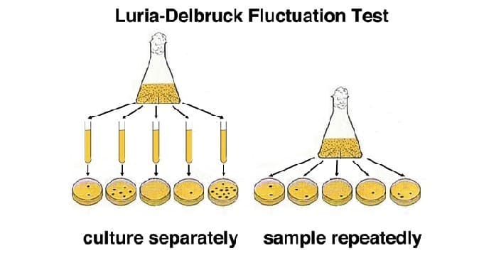 1943年05月29日 Luria-Delbrück實驗發表 證實病毒的基因突變會自然隨機發生