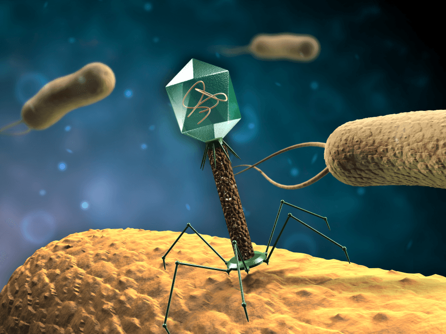 1945年07月23日 Max Delbruck 開辦知名生物學課程 Phage Course