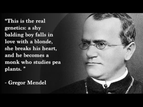 1822年07月22日 現代遺傳學之父：奧地利神父 Gregor Mendel 誕生