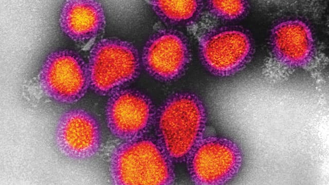 1979年10月05日 科學家從流感病毒 RNA 成功複製 DNA