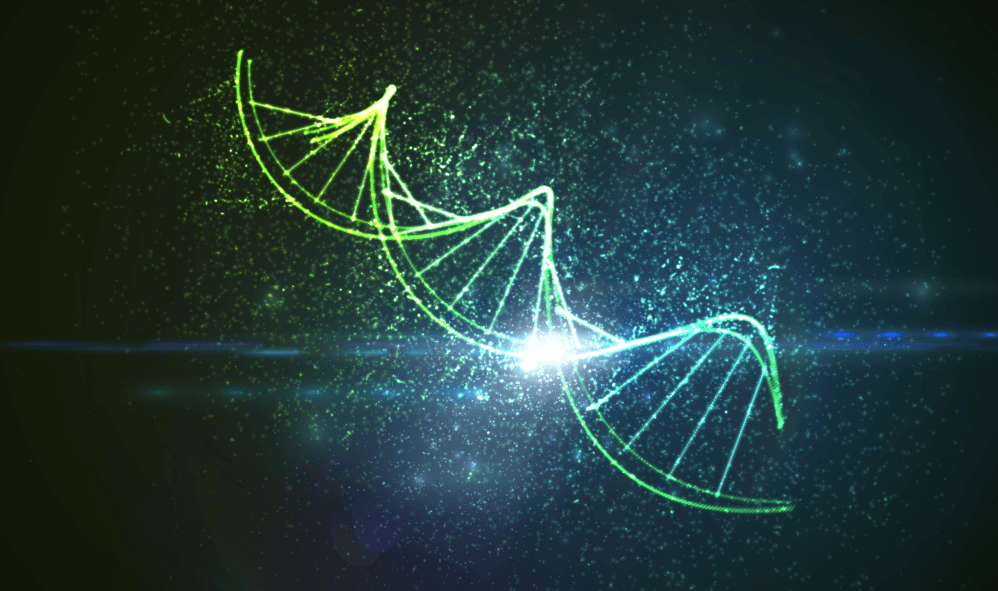 DNA ― 最終極的資訊儲存裝置？