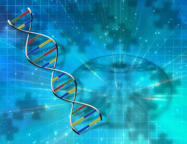 2015年12月31日 科學家首次利用 CRISPR 技術在小鼠身上成功治療遺傳疾病