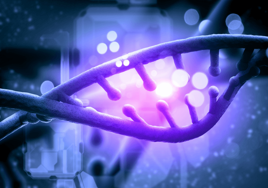 諾禾致源再度攜手PacBio  創造雙倍定序產能