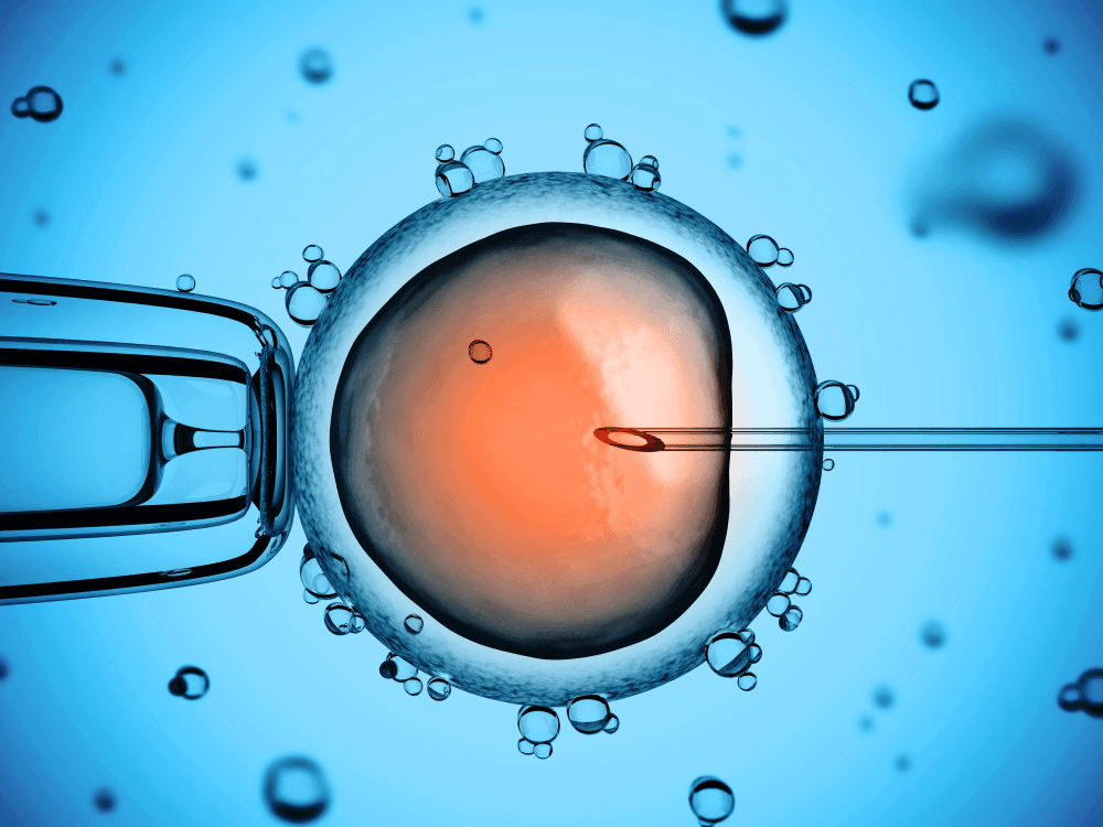 基因編輯技術的里程碑！ 科學家用 CRISPR 成功修改人類胚胎
