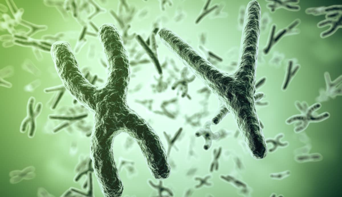 CRISPR-Cas9 開創染色體異常治療新契機!