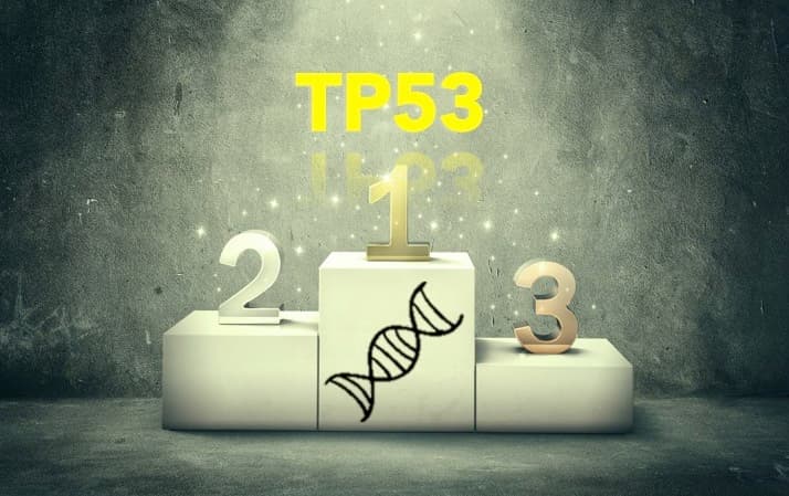 基因紅人榜 – TP53 領先群雄