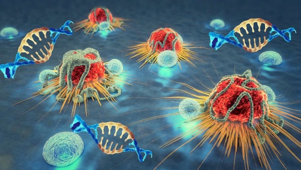 CAR-T 市場再起漣漪! Cellectis 獲得 CRISPR 美國專利!