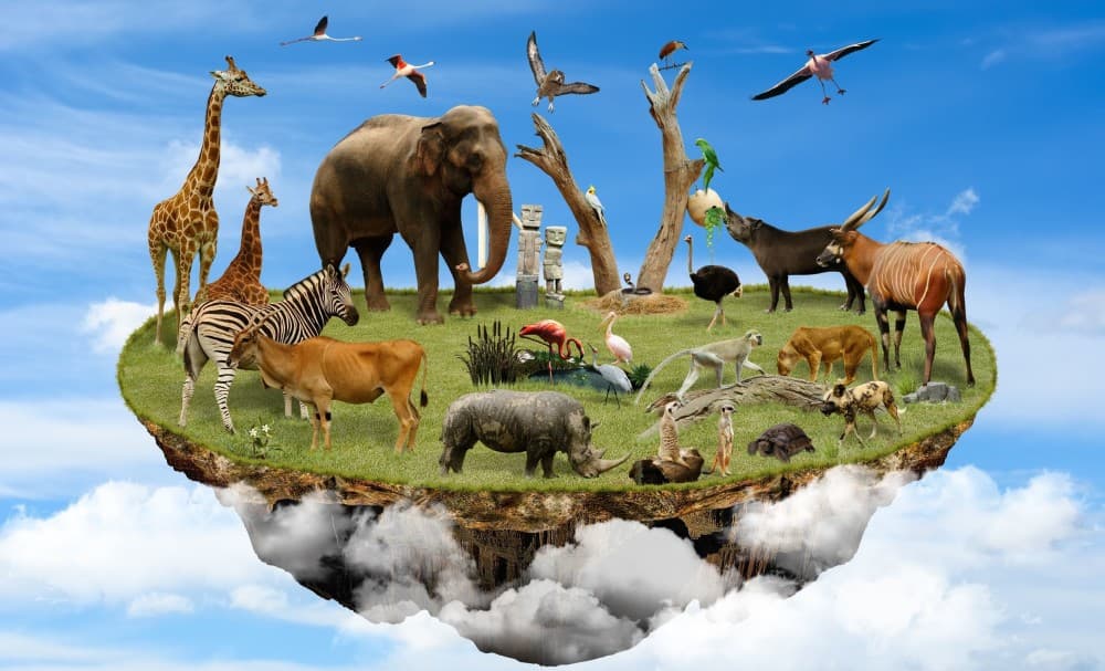 法網恢恢 !  透過法醫遺傳學打擊獵捕保育動物犯罪