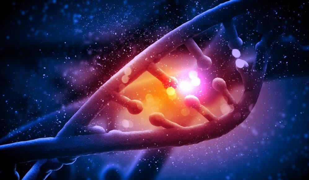 CRISPR 結合 DNA 修復系統修飾單核苷酸 基因編輯將更精準!