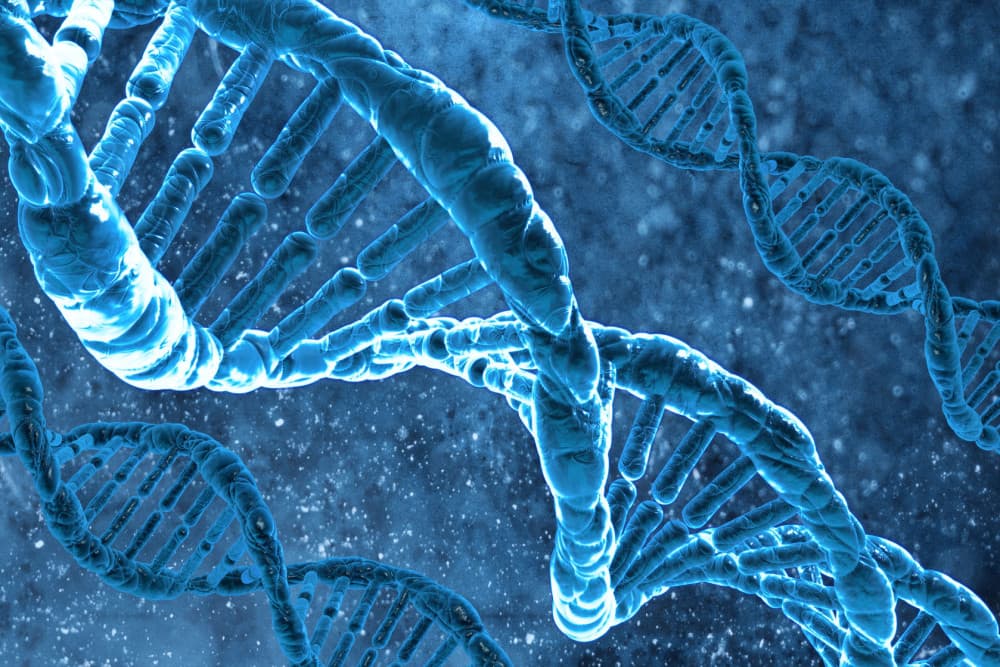 基因專利新戰場  PacBio 核酸分析技術具專利適格性拔頭籌！