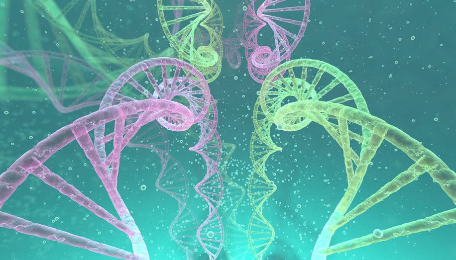 Macrogen 取得 Broad 的 CRISPR-Cas9 授權  擴大其基因編輯版圖