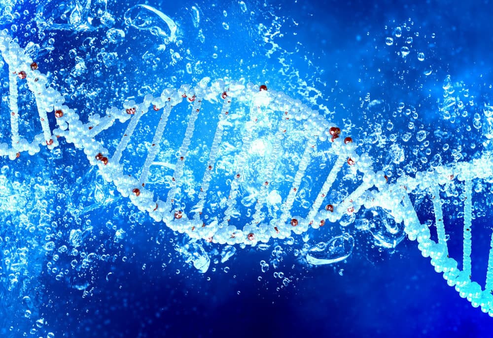 CRISPR 先驅張鋒現身唐獎講座 侃談微生物於基因編輯之應用及發展
