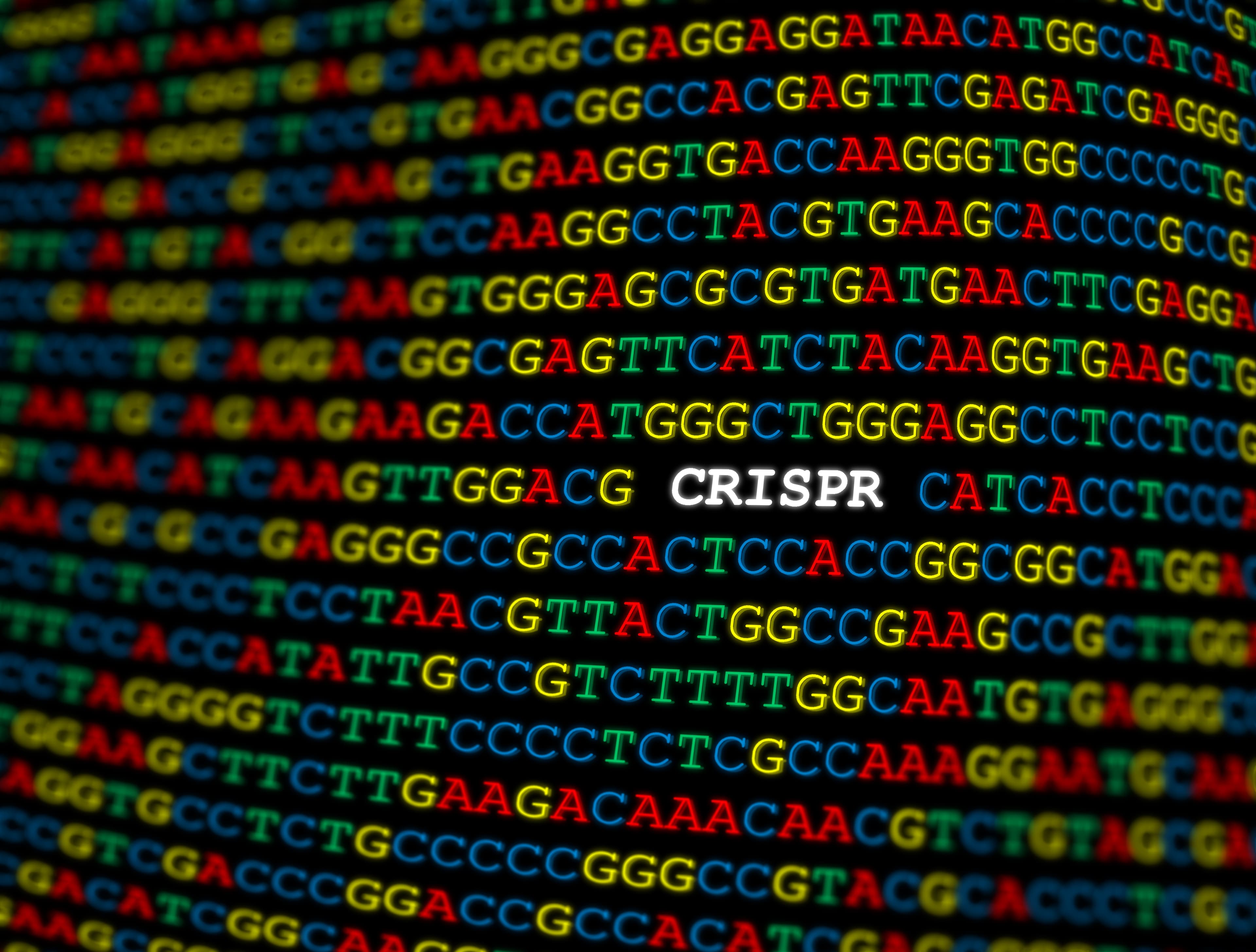 打擊癌症再出招，用CRISPR篩出PARP抑製劑的耐藥性基因