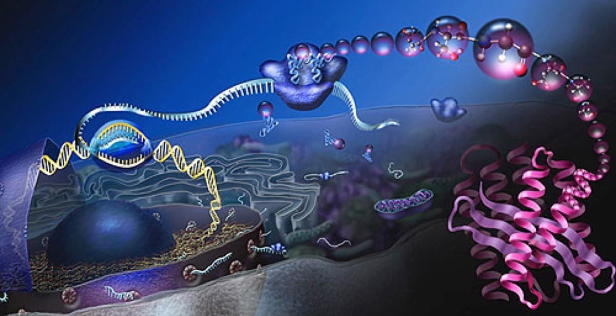 穩定性高的 exRNA  可望成為新一代生物標記