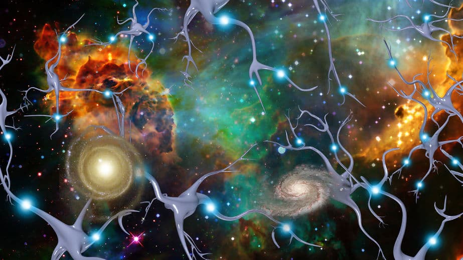 預知細胞未來的讀心術：RNA 變化速度