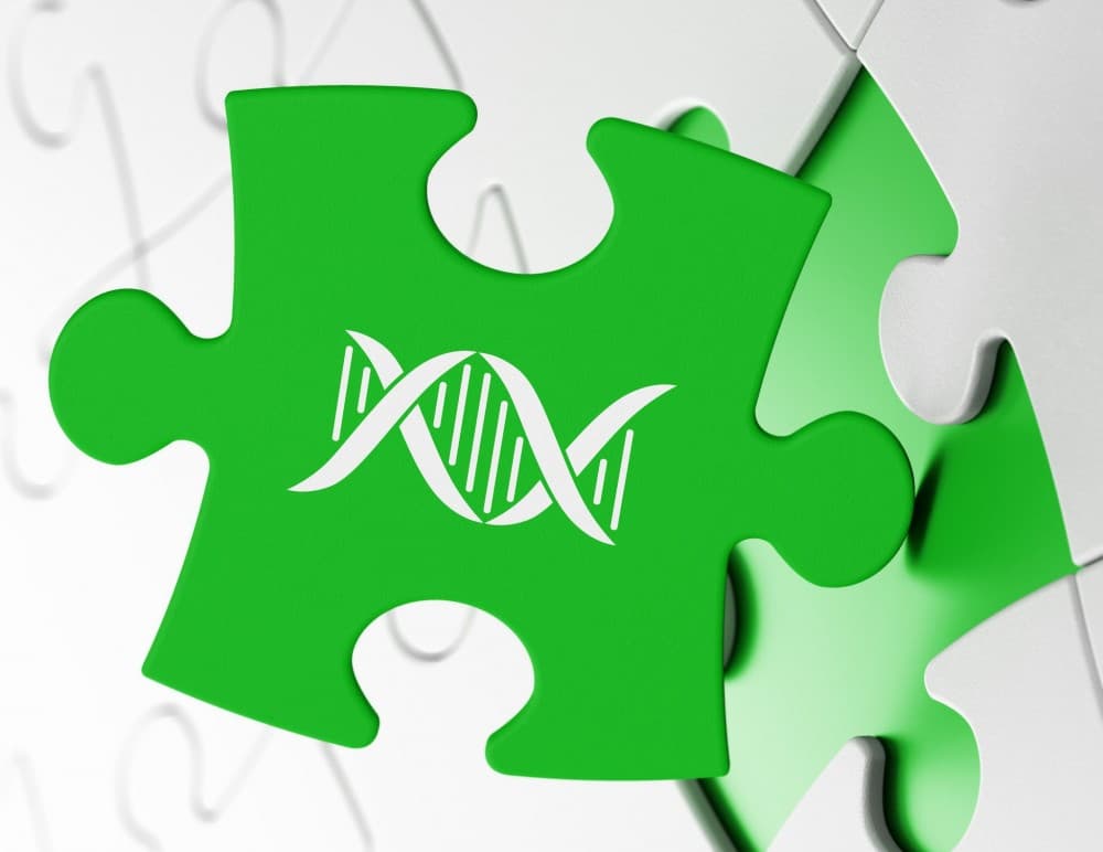 RNA 和蛋白質如何互動？ 巨大拼圖告訴你！