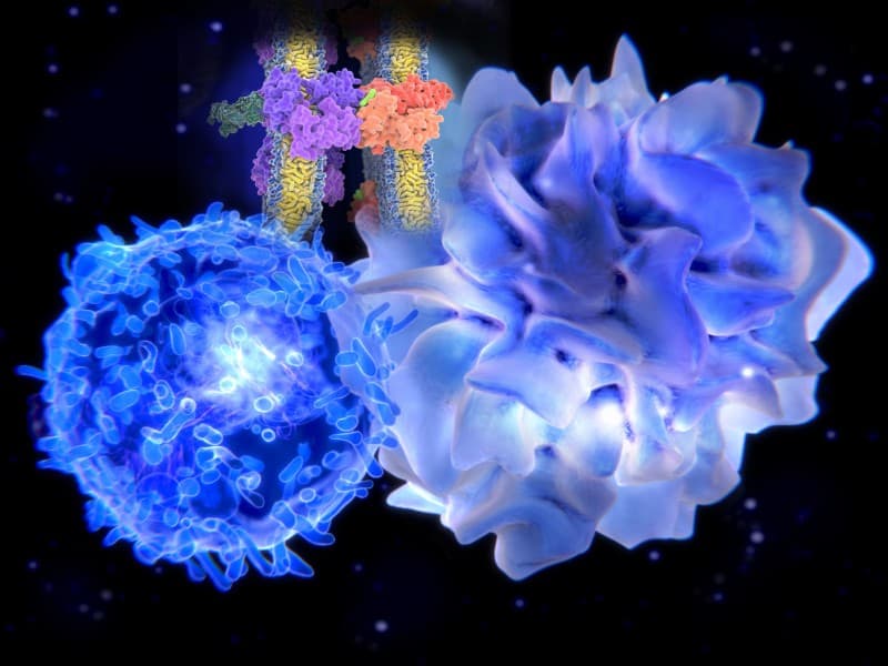 Regeneron 聯手 Bluebird 共同開發抗癌細胞療法