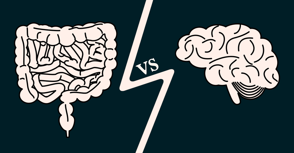 腸道與大腦:科學家揭示影響神經退化疾病的腸-腦軸線新關聯