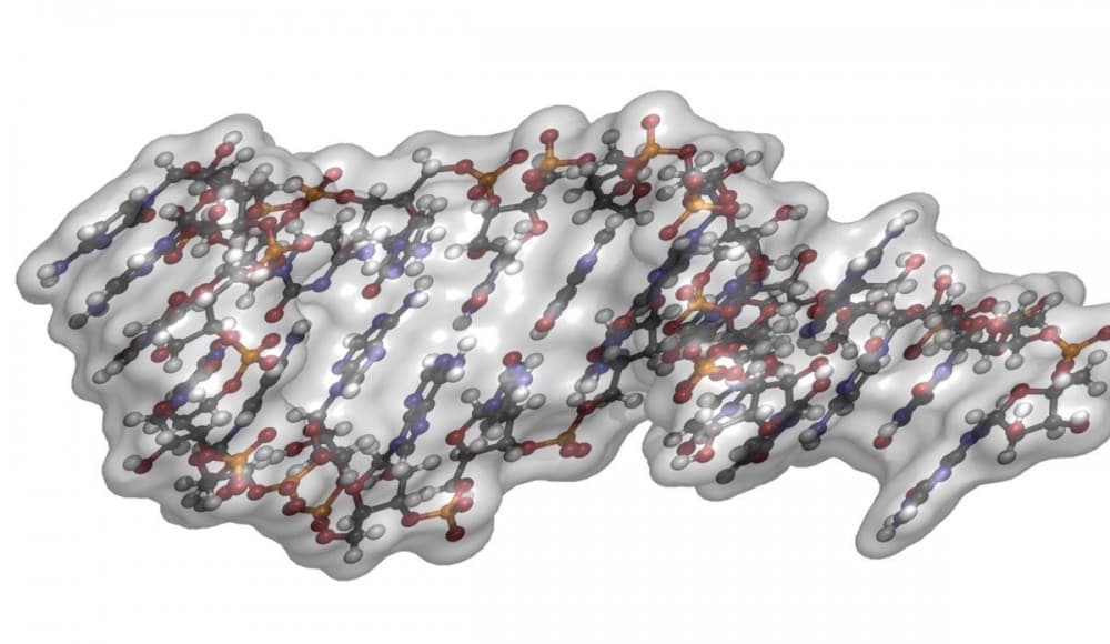 全球第一！ RNAi 藥物獲 FDA 核准