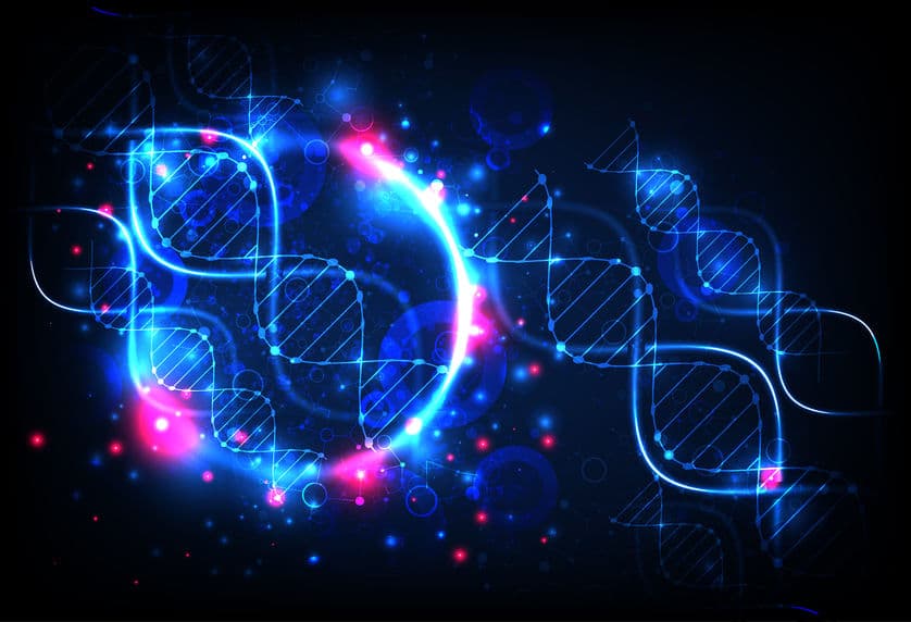 誰是致癌老鼠屎？ BRCA1 單核苷酸變異告訴你！