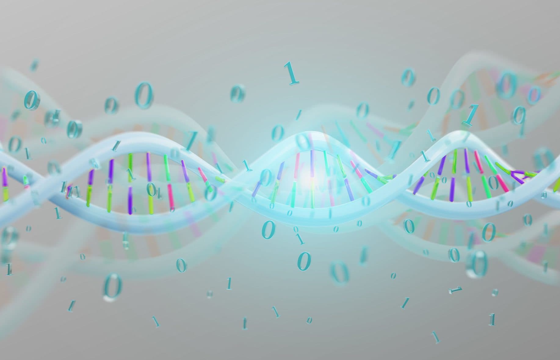 缺乏 Dna2 核酸酶 基因跳躍不受控?