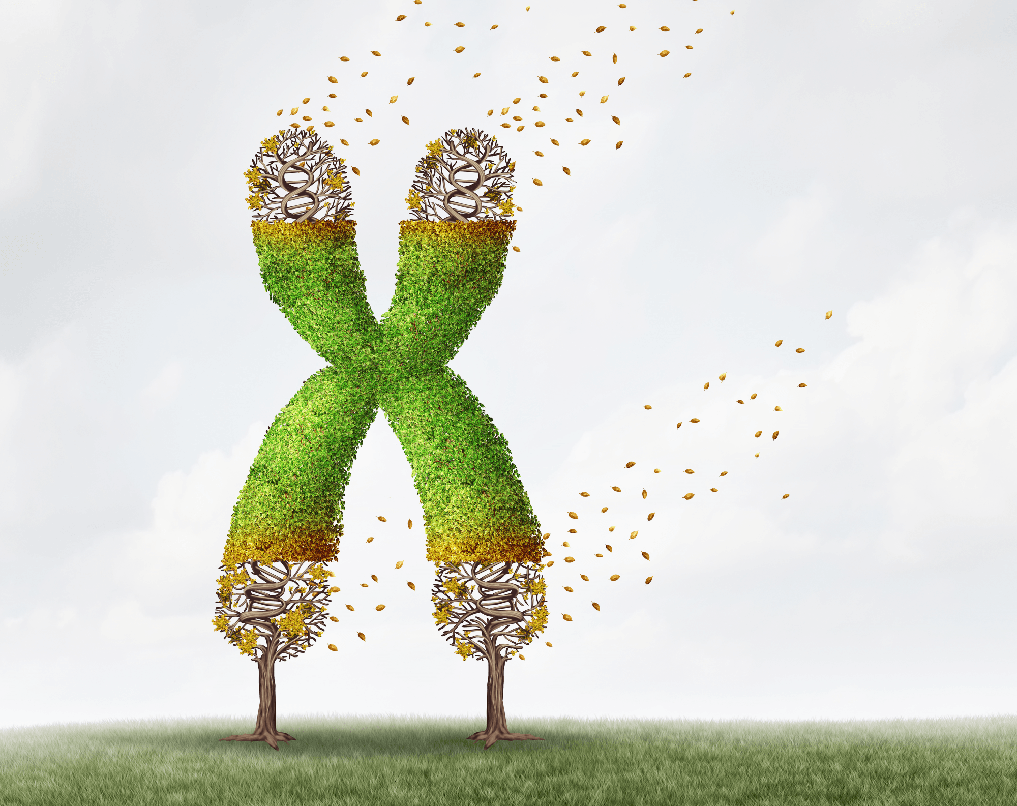定義老化的最佳生物標記 — 端粒 (Telomere)