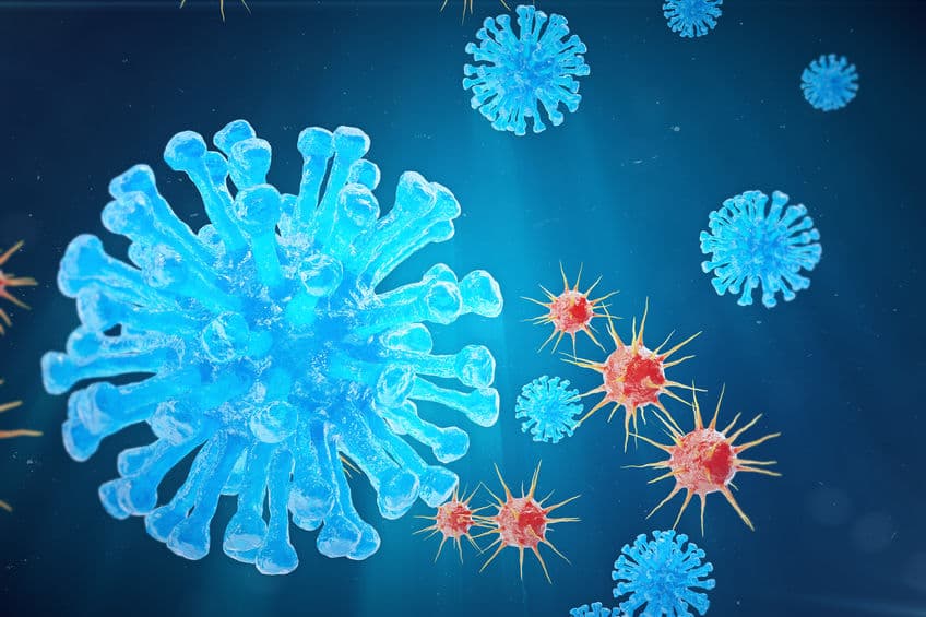 抗病毒新視角：免疫細胞產生乙醯膽鹼抗感染