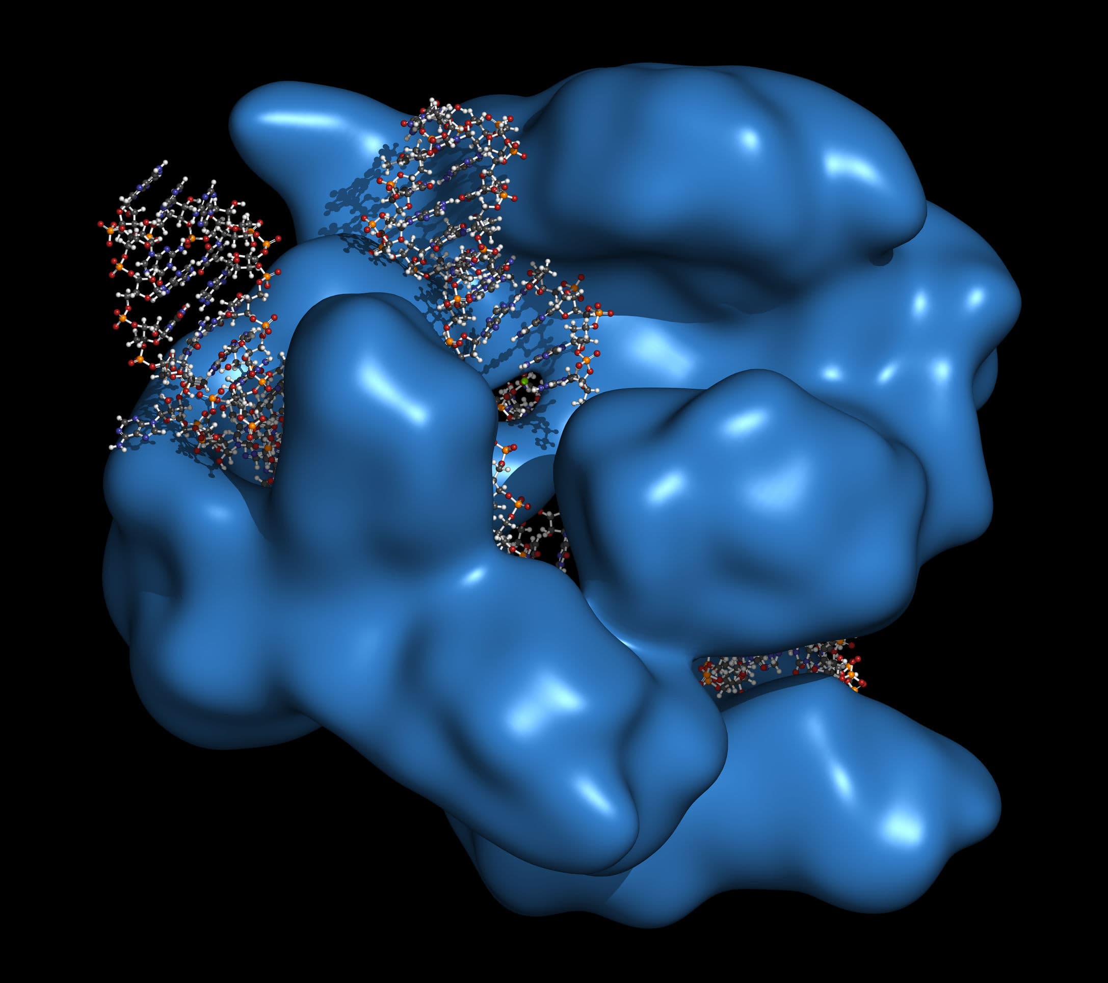 CRISPR 編輯 RNA 再進化 調控轉譯後修飾反轉致病蛋白