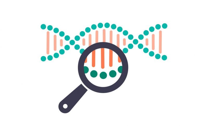 Thermo Fisher 攜手 Genialis 盼突破 NGS 數據分析瓶頸