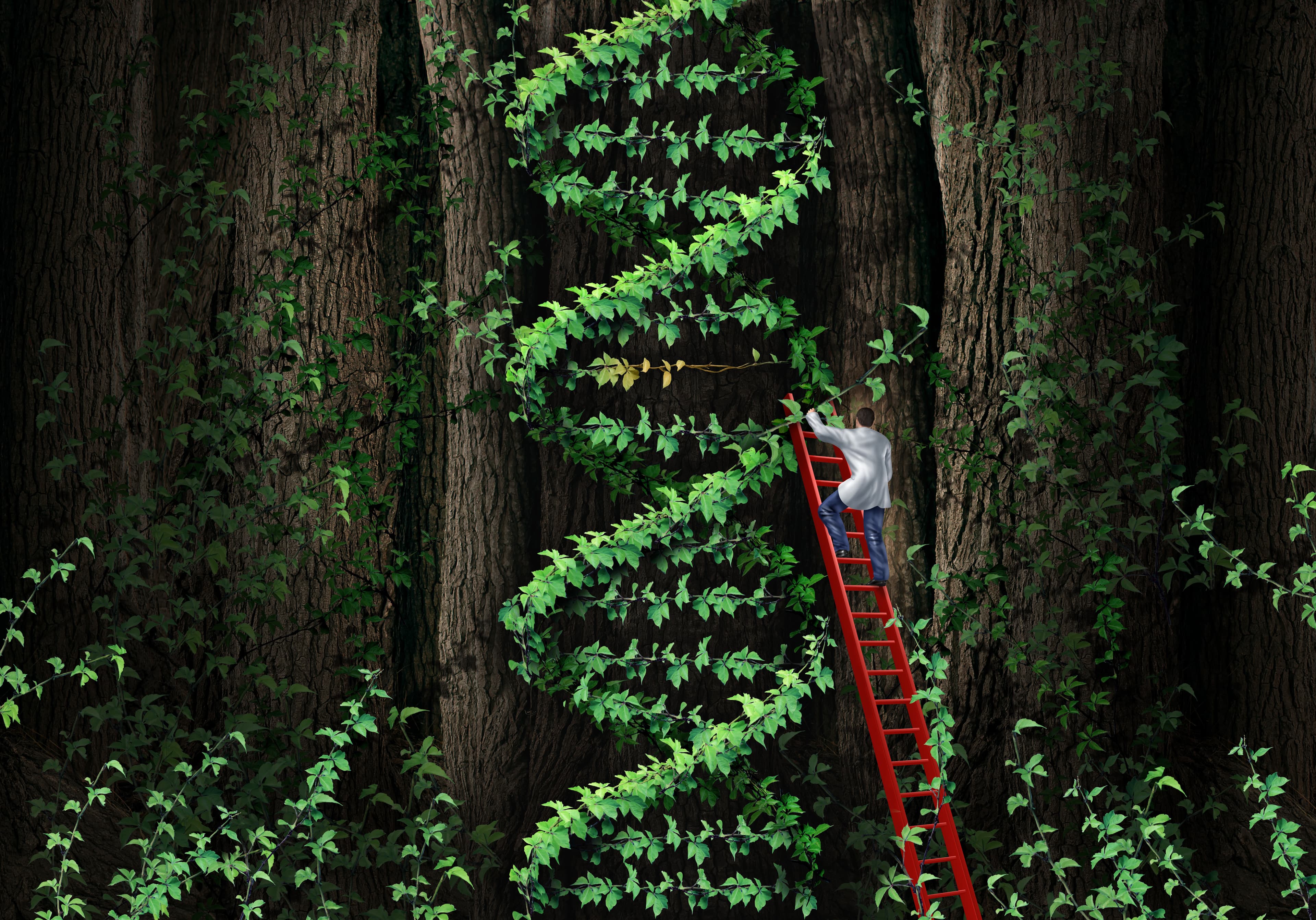 基因編輯應用於臨床治療首例!Vertex 和 CRISPR 貧血患者治療結果良好