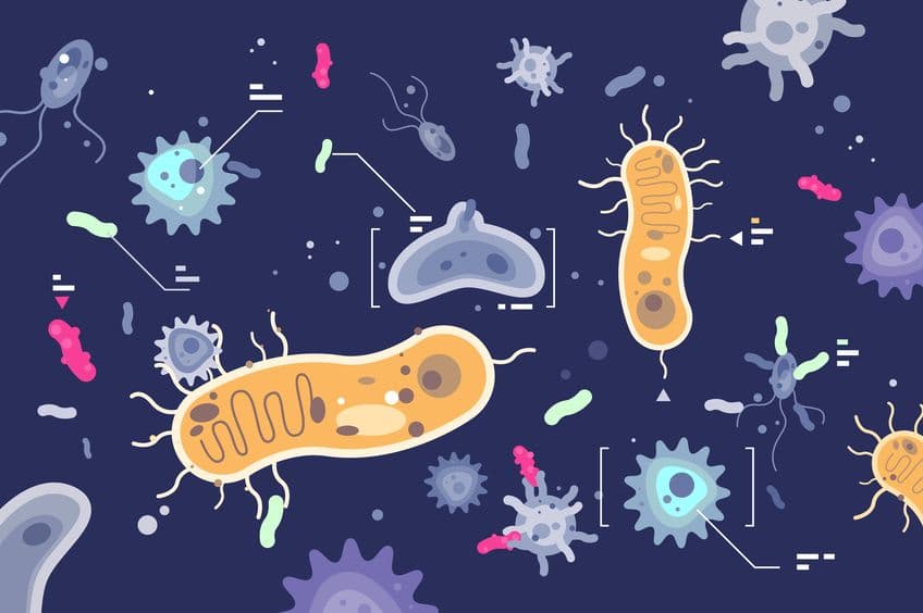 2020 Asia Microbiome Conference 三大焦點：研究和產業趨勢、營養與益生菌、青年科學家交流