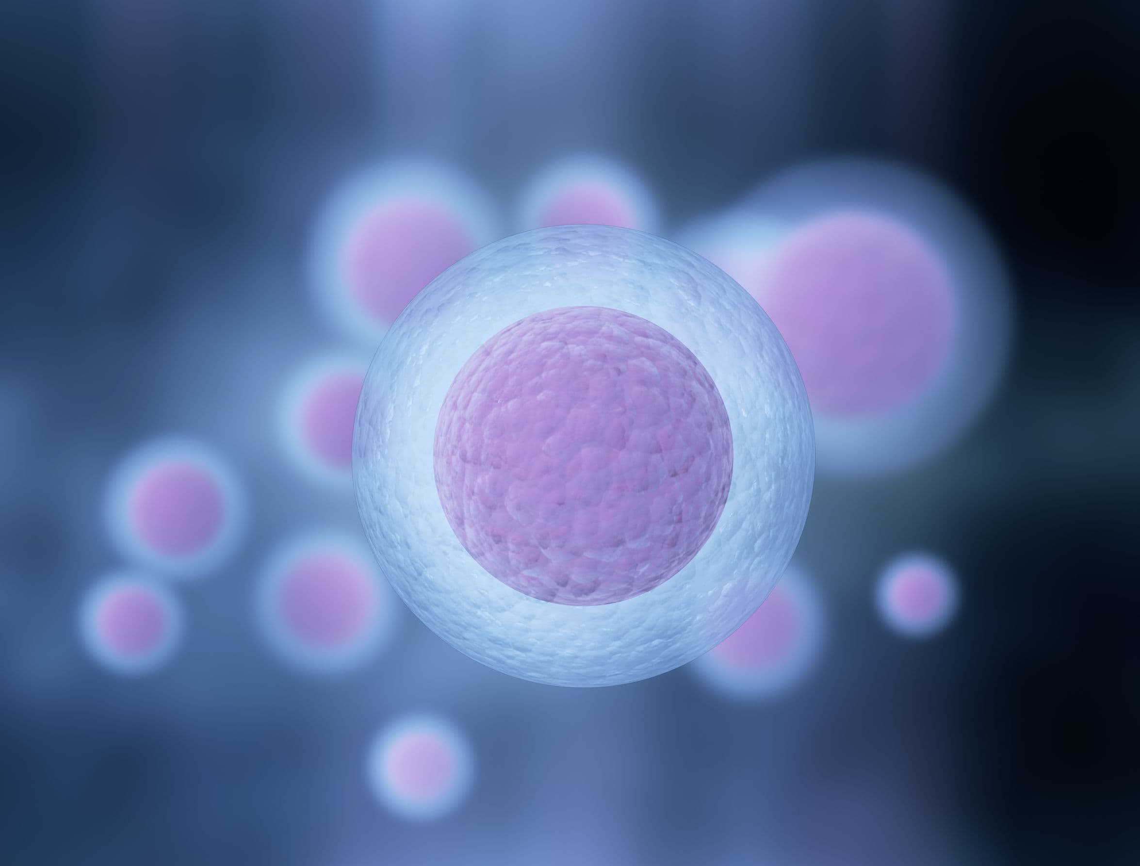 比人類誘導多功能幹細胞(iPSCs)更為穩定?3i 雞尾酒療法誘導幹細胞促眼血管再生