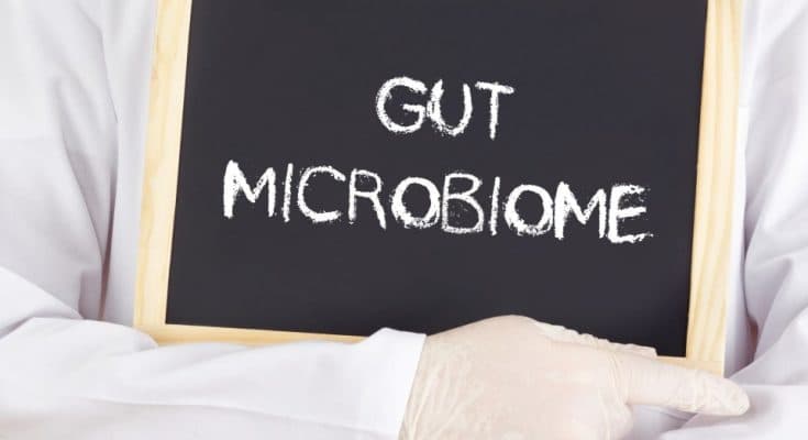 微生物基因體 ( Microbiome )治療應用：調節腸內微生物菌叢以治療發炎性疾病