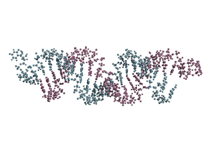 沒有永遠的對手！Alnylam 攜手 Dicerna 開發新 RNAi 療法