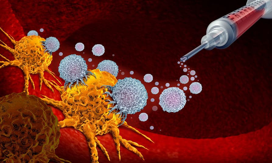 抑制 PD-1 與 FcγR 結合來抗肺癌！BeiGene 免疫新藥三期臨床達試驗終點
