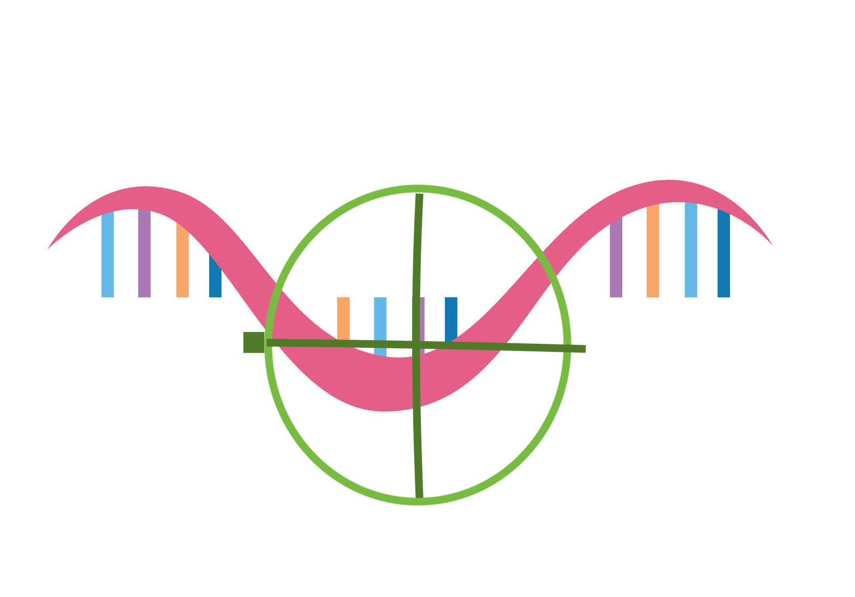 RNA 小分子標靶藥物的魅力！Roche 將與 Arrakis 同盟