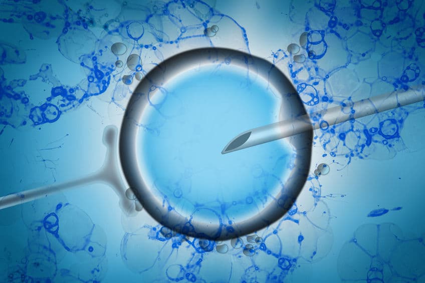 CRISPR 編輯人類胚胎安全嗎？恐會導致大量染色體混亂和 DNA 突變