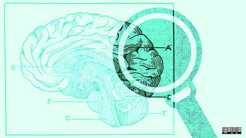 微生物能影響腦中風？國際級研究：腸道菌相可預測腦部血管瘤