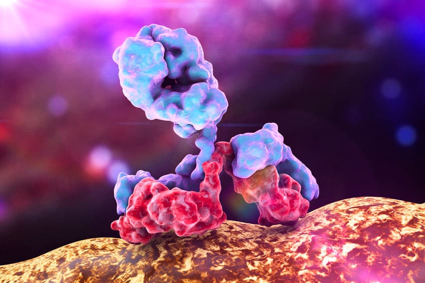 抗體藥物複合體結盟雙特異性抗體！ AbbVie 攜手 Genmab 抗癌！