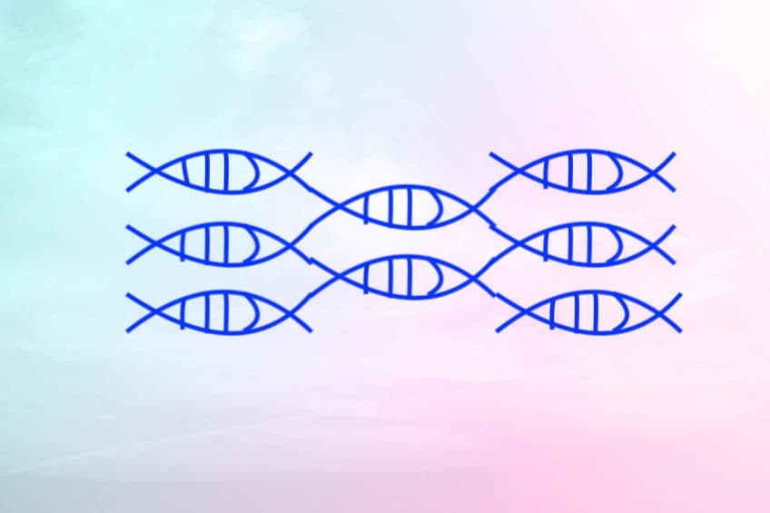 正常 DNA 修復竟然也會致癌?抗病毒大將 APOBEC 是幫兇?