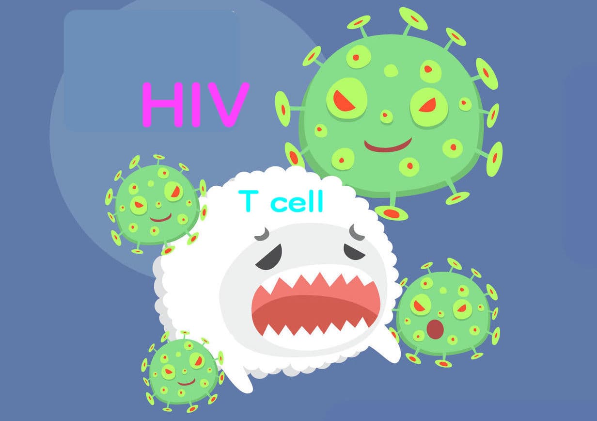 不僅抗血癌!CAR-T 細胞更能抗愛滋病?
