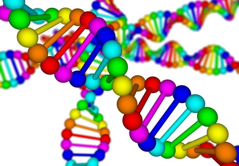 擴大空間基因體分析能力！ 10x Genomics 收購 Cartana 和 ReadCoor