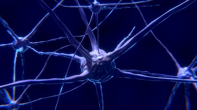 人類長期記憶生成的必要步驟?Nature期刊研究eIF2α調控記憶固化