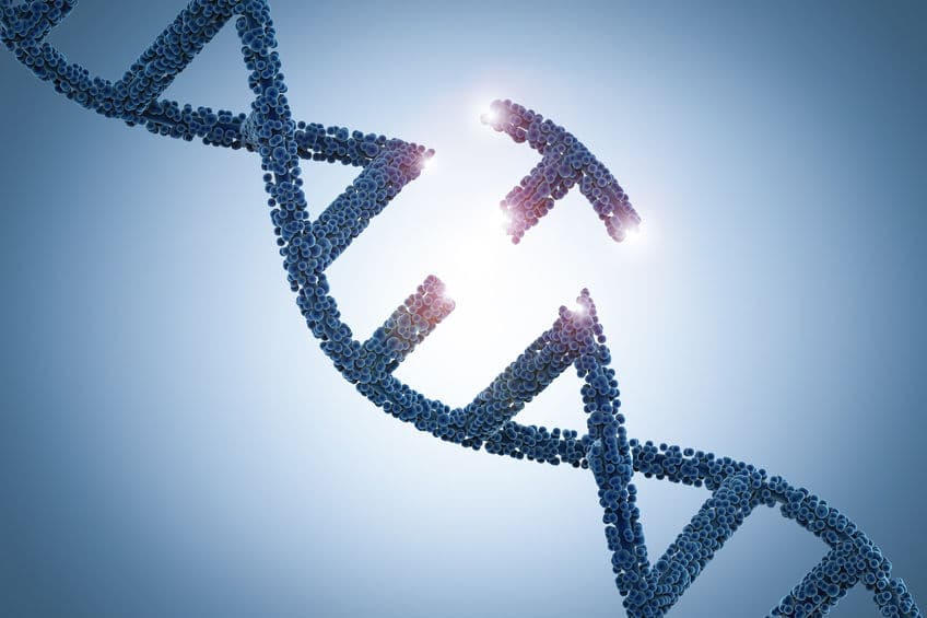 Bayer 看好領投！CRISPR 基因編輯新創 Metagenomi 結束 A 輪融資