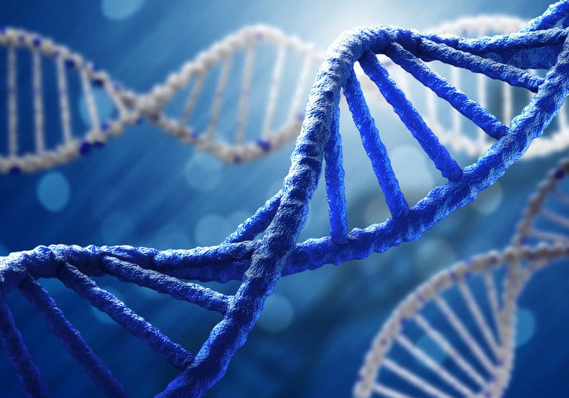 Illumina 攜手微軟等跨界大廠，一同組建 DNA 資料儲存聯盟！