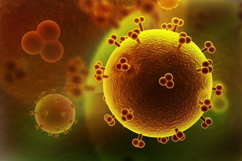 PrEP 預防愛滋失效?陰道微生物相抗 HIV?