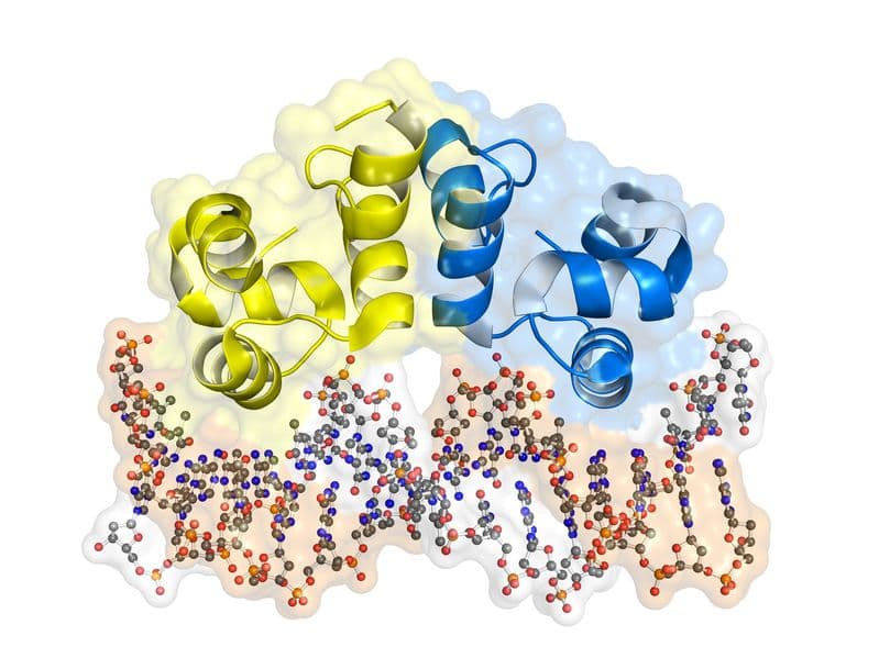 新型 di-siRNA 有何魔力？使 F-Prime Capital、Biogen、Genentech A 輪投資 Atalanta Therapeutics